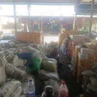 پخش کشمش آفتابی تهران و شهرستانها