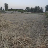 زمین 1000متر با فنس کشی جاده طلاتپه ینگجه|فروش زمین و ملک کلنگی|نوشین شهر, |دیوار