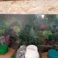 آکواریوم