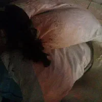 پشم فروشی