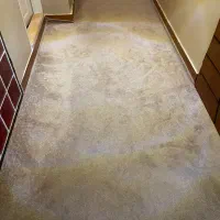 موکت پالاز|موکت|رشت, انصاری|دیوار