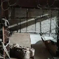 لونه مرغ و حیوانات خانگی