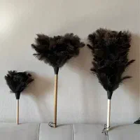 گردگیر پر شترمرغ عمده و تک