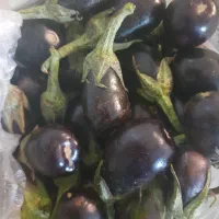 بادمجان ترشی