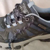 کفش  طبیعت  گردی  اسکیچرز   در حد نو