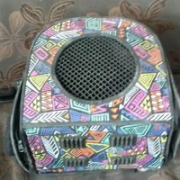 سگ خانگی نژاد شیتزو|سگ|شیراز, شاپورجان|دیوار