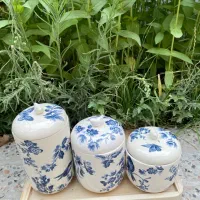 پاسماوری سرامیکی