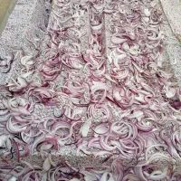 پیاز خلال خشک شده|خوردنی و آشامیدنی|شیراز, قلعه نو|دیوار