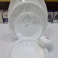 آرکوپال دینو|ظروف سرو و پذیرایی|پاکدشت, پاکدشت (مامازند)|دیوار