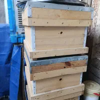 کندو زنبورعسل|لوازم جانبی حیوانات|الوند, |دیوار