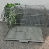 قفس بزرگ (جفت کن قناری)