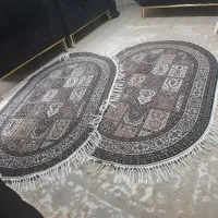 فرش ترمز دار