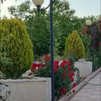 پایه چراغ باغی|لامپ و چراغ|شیراز, شهرک گلستان|دیوار