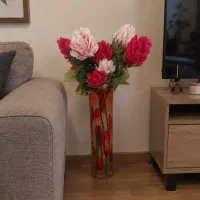 گل سانسوریا ، آگلونما ، گلدان فروش یا معاوضه