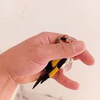 سهره دورگ کرمونی فیروزکوه