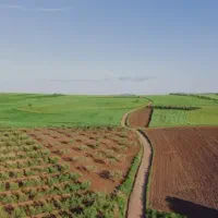 زمین کشاورزی سند دار در ملکشاهی