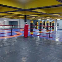آموزش mma،بوکس،دفاع شخصی|خدمات آموزشی|تهران, دهکده المپیک|دیوار