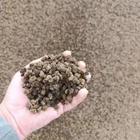 پوکه معدنی کردستان|عمده‌فروشی|خرم‌آباد, |دیوار