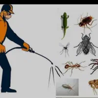 سم پاشی حشرات ضمانت ۱۰۰٪