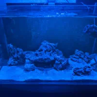 آکواریوم آب شور با وسایل|ماهی|پاکدشت, پاکدشت (مامازند)|دیوار