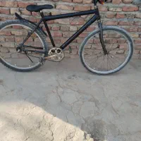 دوچرخه 26|دوچرخه، اسکیت، اسکوتر|خاش, |دیوار