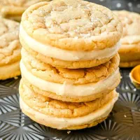 سرمایه‌گذاری/ شراکت در خطوط تولید فعال خوراکی