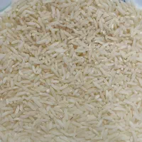 برنج طارم هاشمی سیدمحله