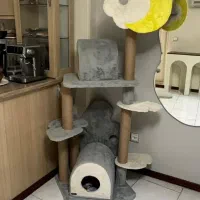 باکس گربه(خانه بازی )