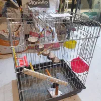 قفس مسافرتی جمع شو