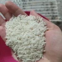 برنج هاشمی به مقدار ۵ کیلو فروش