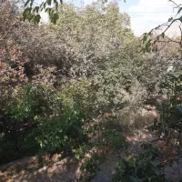 زمین ۲۰۰ و ۵۰۰ متری