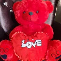 حراج عروسک خرسی