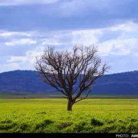 زمین-بلوار-جمهوری-هزار-متر-دوکله