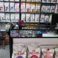 لوازم جانبی (حیوانات خانگی)سرگرمی فراغت حیوانات