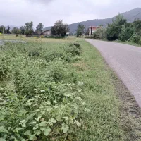 رشت زمین تجاری مسکونی باجوازساخت m480سراوان قاضیان|فروش زمین و ملک کلنگی|سنگر, |دیوار