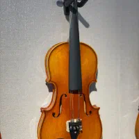 فروش ویلن برای مبتدی تا حرفه ای