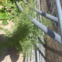 کمان گالوانیزه گلخانه ای