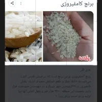 فروش برنج کامفیروز