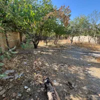 زمین ۲۵۰ متری آماده ساخت تهرادنشت کردان