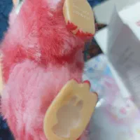 لبوبوی نو|اسباب‌‌بازی|بجنورد, |دیوار