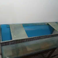 آکواریوم...|ماهی|کارون, |دیوار