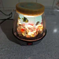 شب خواب