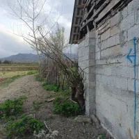 زمین مسکونی ویو ابدی|فروش زمین و ملک کلنگی|ماکلوان, |دیوار