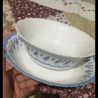 ظرف زیرورو ارکوپال