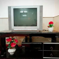 تلویزیون LG