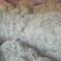 یونجه درجه یک بیستون