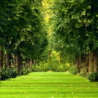 زمین  فروشی آماده ساخت