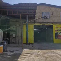 ایزوگام