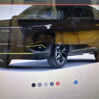 هاوال مشکی وناردوگری وارداتی خشک