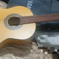 گیتار پارسی p 70|گیتار، بیس، امپلیفایر|شیراز, میانرود|دیوار